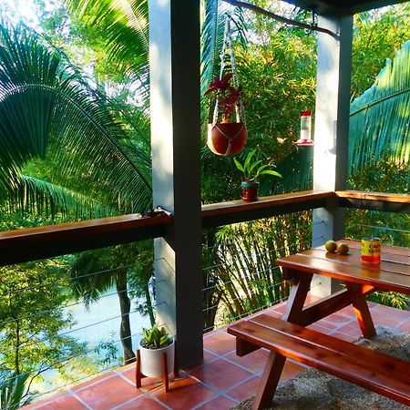 Riverhill Hideaway Monkey Fall Εξωτερικό φωτογραφία