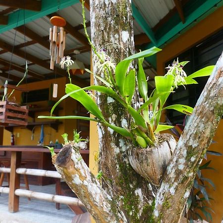 Riverhill Hideaway Monkey Fall Εξωτερικό φωτογραφία
