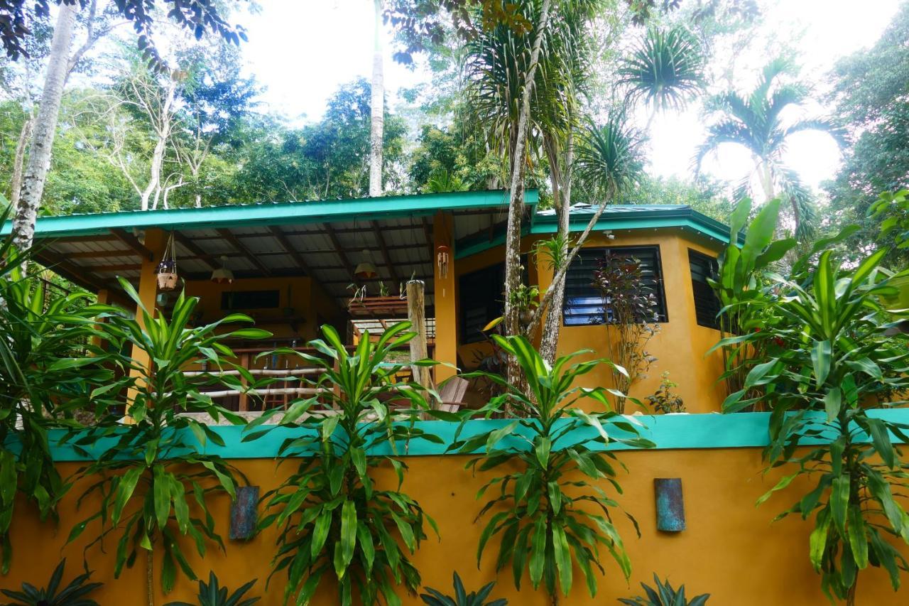 Riverhill Hideaway Monkey Fall Εξωτερικό φωτογραφία