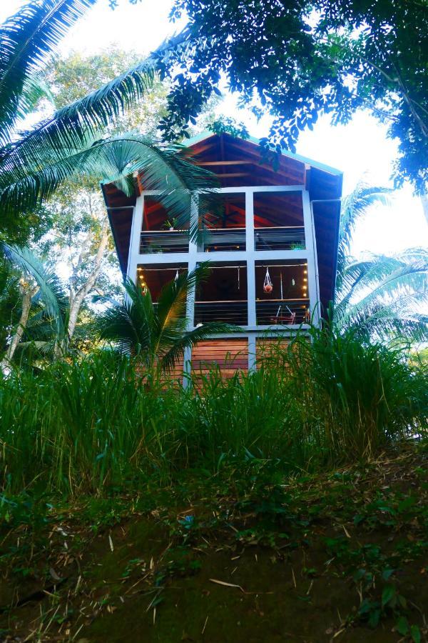 Riverhill Hideaway Monkey Fall Εξωτερικό φωτογραφία