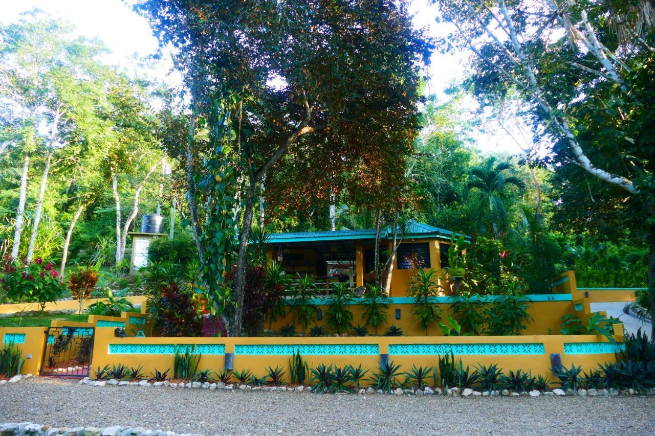Riverhill Hideaway Monkey Fall Εξωτερικό φωτογραφία