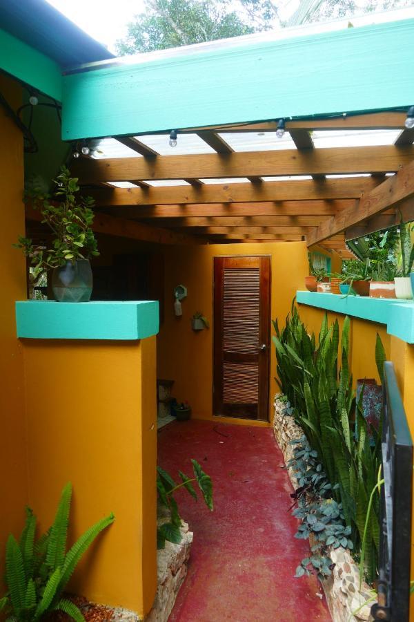 Riverhill Hideaway Monkey Fall Εξωτερικό φωτογραφία