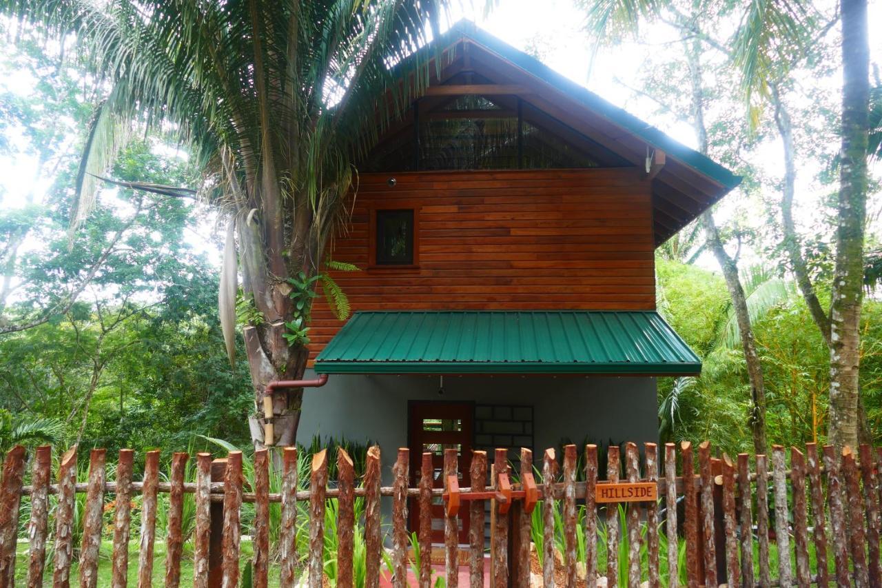 Riverhill Hideaway Monkey Fall Εξωτερικό φωτογραφία