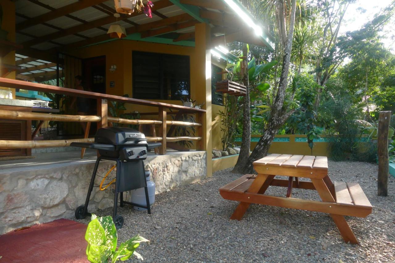 Riverhill Hideaway Monkey Fall Εξωτερικό φωτογραφία