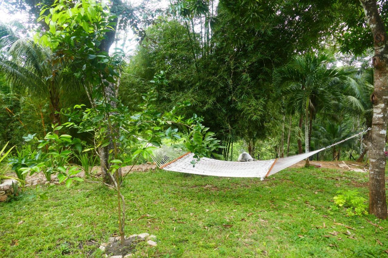 Riverhill Hideaway Monkey Fall Εξωτερικό φωτογραφία