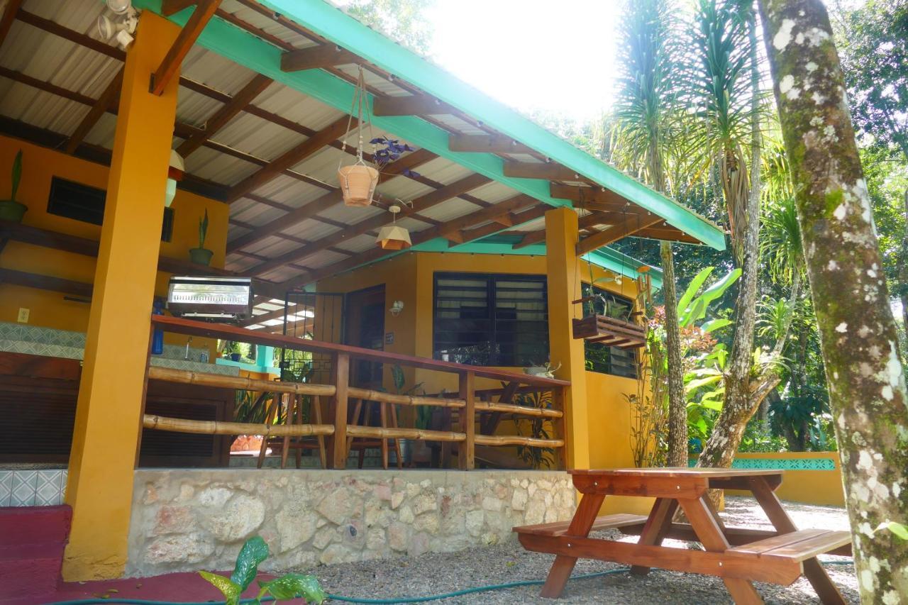 Riverhill Hideaway Monkey Fall Εξωτερικό φωτογραφία