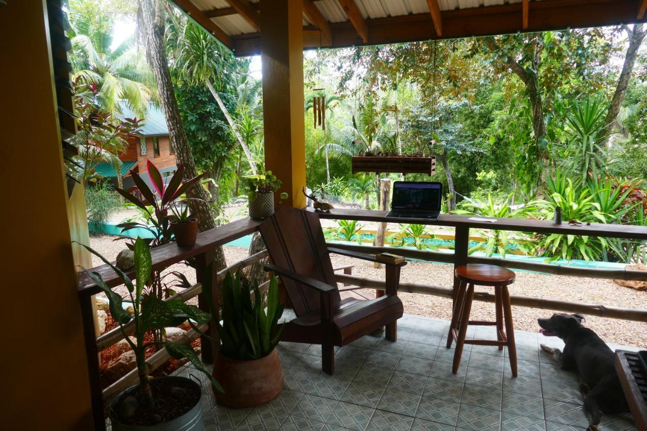 Riverhill Hideaway Monkey Fall Εξωτερικό φωτογραφία