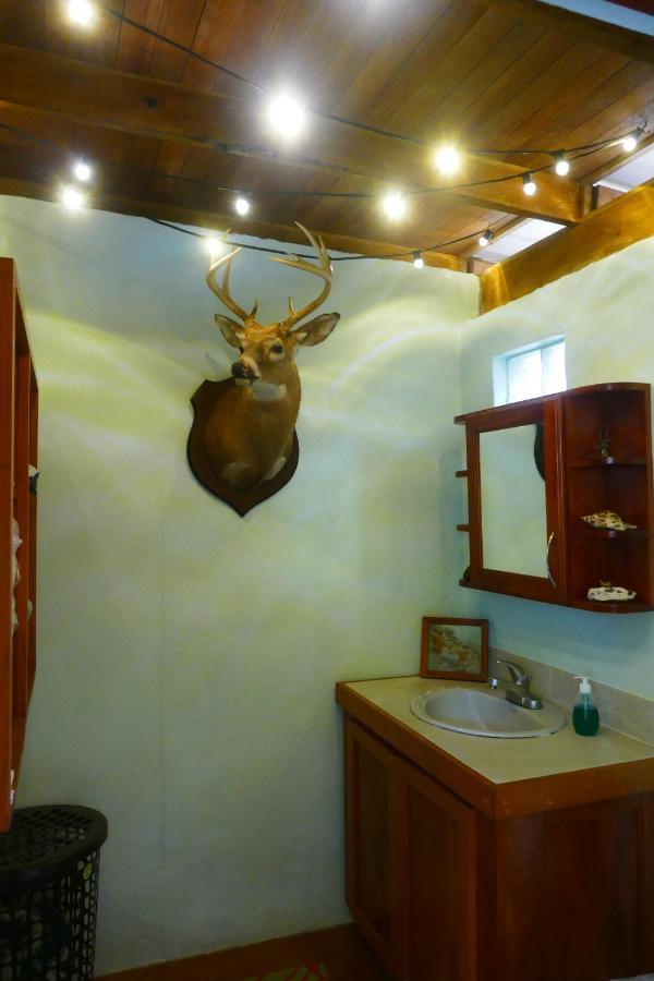 Riverhill Hideaway Monkey Fall Εξωτερικό φωτογραφία