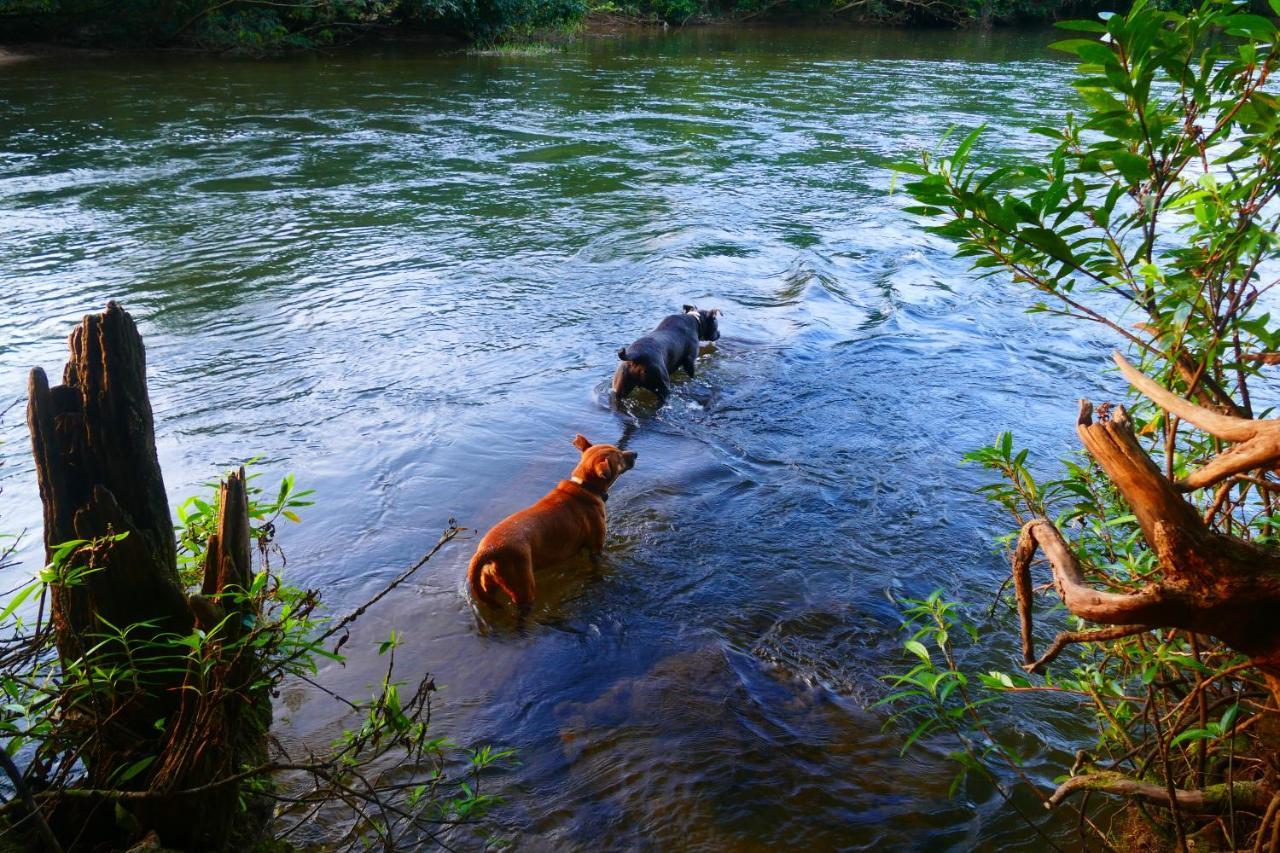 Riverhill Hideaway Monkey Fall Εξωτερικό φωτογραφία