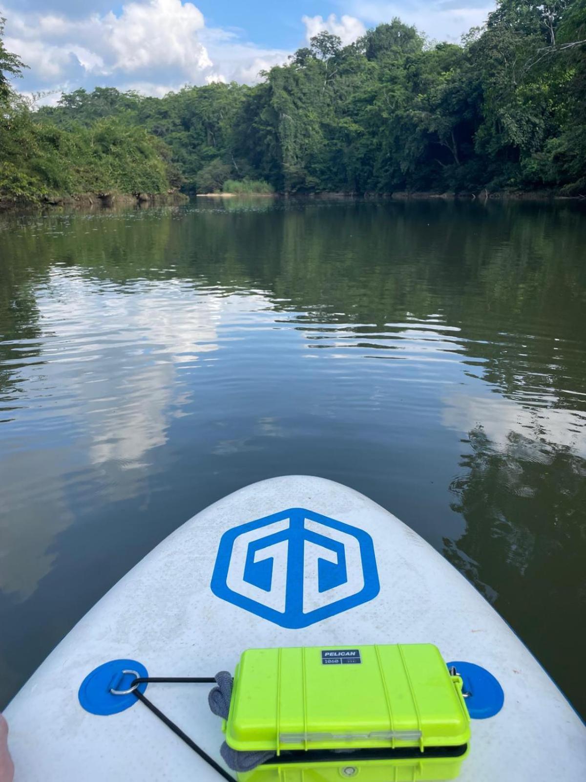 Riverhill Hideaway Monkey Fall Εξωτερικό φωτογραφία
